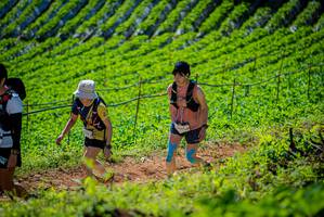 BIB: 
                            <button type="button" onclick="openModal(19163131)" class="btn btn-primary btn-sm float-right btn-popup" data-toggle="modal" data-target=".modal-high-quality">
                        <i class="fas fa-shopping-cart"></i> Add to Cart
                    </button>
                                            <button type="button" onclick="isThisMe(19163131, true)" class="btn btn-success btn-sm float-right btn-popup btn-isme hidden" data-toggle="tooltip" data-placement="bottom" title="นี่คือรูปของคุณใช่ไหม คลิกที่นี่เพื่อเอาเข้าอัลบั้ม">
                        <i class="fas fa-plus"></i> Add to album
                    </button>
                    <button type="button" onclick="isThisMe(19163131, false)" class="btn btn-warning btn-sm float-right btn-popup btn-isnotme hidden">
                        <i class="fas fa-ban"></i> Remove from album
                    </button>